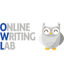 logo_owl_wiseman